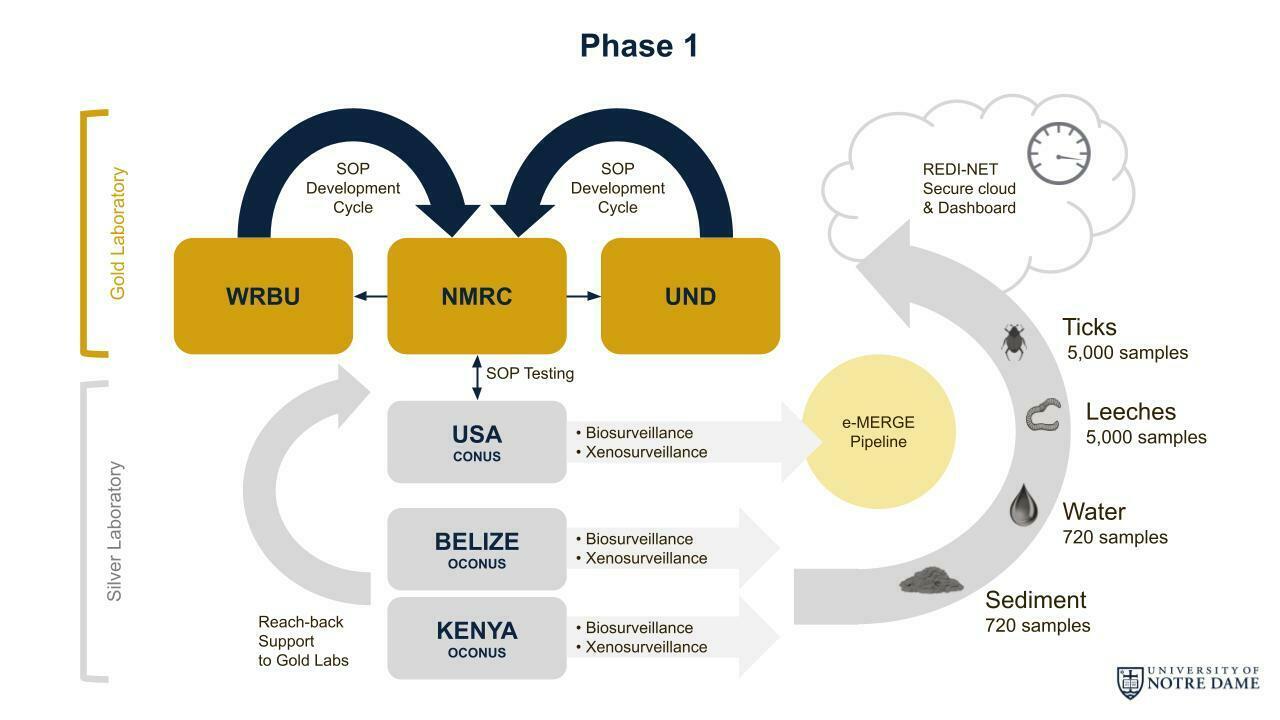 REDI-NET Phase 1 Overview Graphic