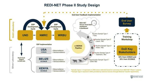 Redi Net P2 Study Design