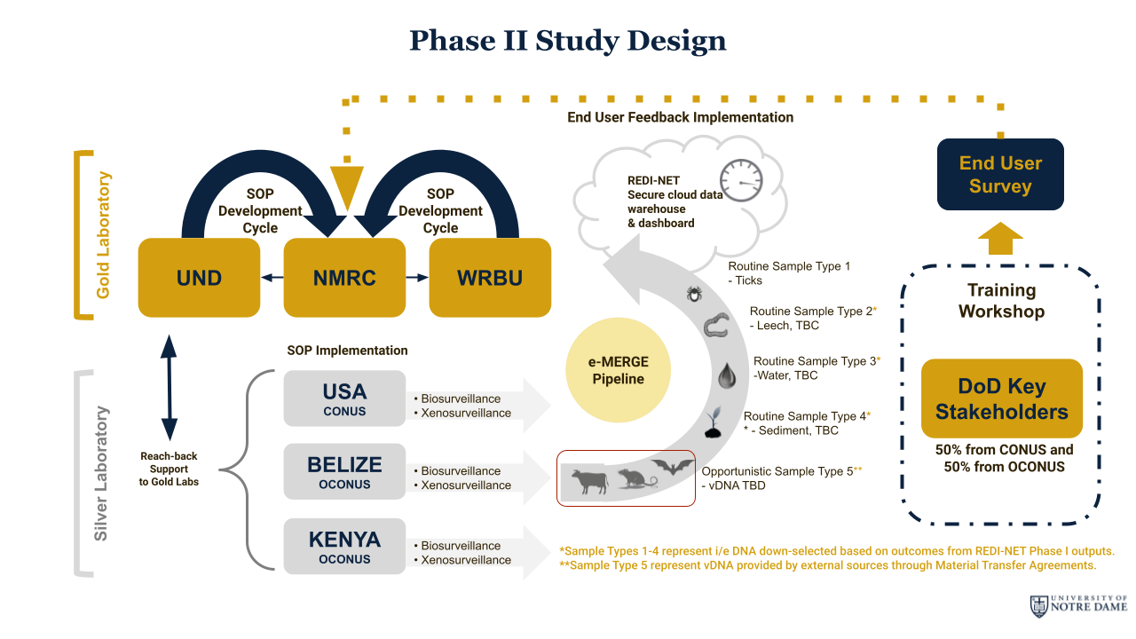 Phase Ii Study Design