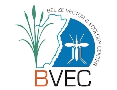 Belize Vector and Ecology Center (BVEC) Logo
