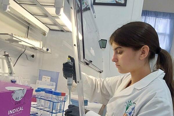 A young female lab technician sits in front of a lab hood for conducting PCR, pipetting material from an Eppendorf tube.