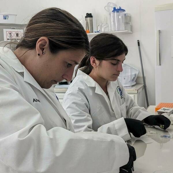 Two female laboratory technicians wearing white lab coats sit side by side at lab workbench, wearing black lab gloves and holding forceps as they prepare material on a petri dish.