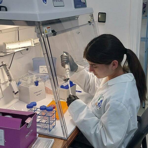 A young female lab technician sits in front of a lab hood for conducting PCR, pipetting material from an Eppendorf tube she holding in her hand.