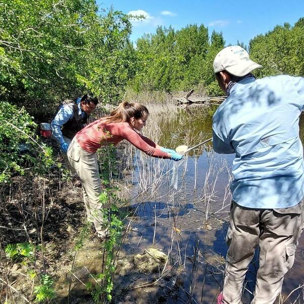 A young lady holds a transparent plastic bag and leans over the edge of a water body surrounded by trees as a young man pours water inside the bag using a dipper.