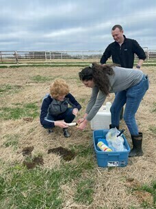 Two women collecting manure samples in a pasture under the oversight of a third male person standing behind them.